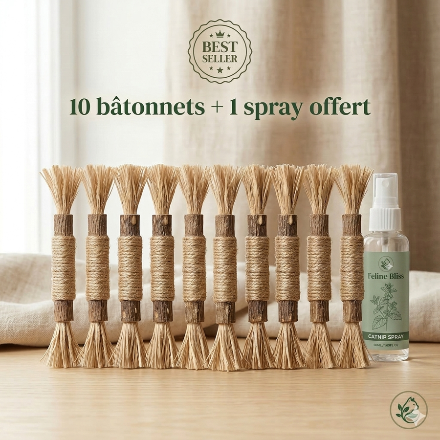 Felivine - Bâtonnets Dentaires
