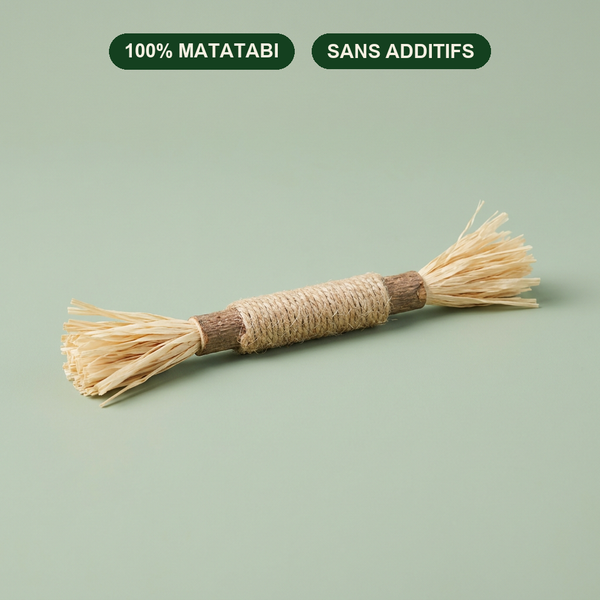 Bâtonnet dentaire Felivine 100% matatabi sans additifs